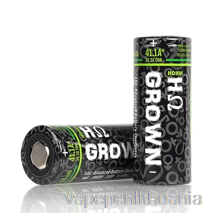 Hohm Tech Išaugo 2 26650 4244mah 30.3a Baterija Išaugo2 - Vieno Akumuliatoriaus Vape Skystis