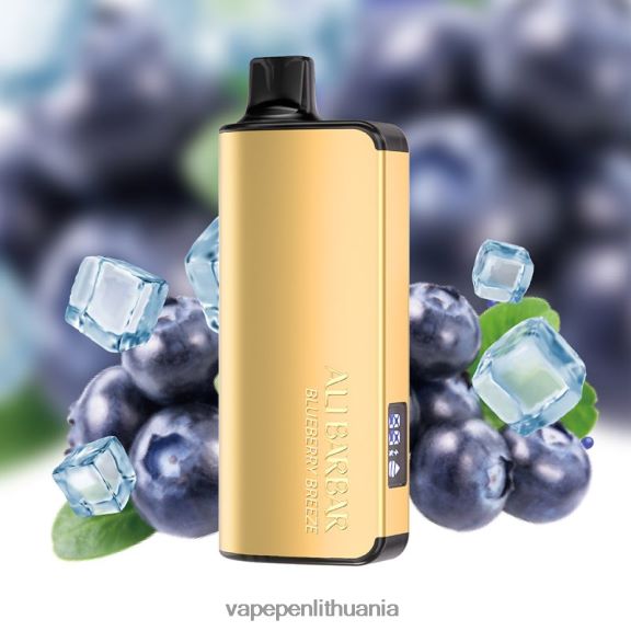 Alibarbar Ingot 20000 vienkartinių vape mėlynių vėjas 8TR08Z32 - Vape Mod