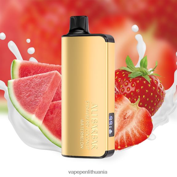Alibarbar Ingot 20000 vienkartinių vape vėsios mėtos 8TR08Z35 - Vape Skystis