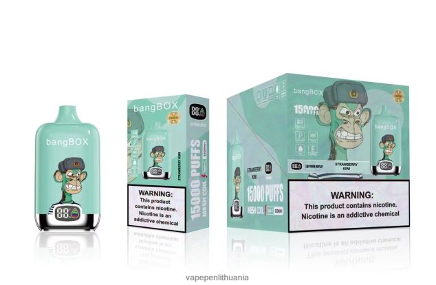 Bang Box 15 000 įkvėpimų braškių kivi 4PX0P239 - Vape Pen