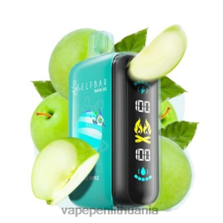 Elf Bar Raya D3 25 000 vienkartiniai 4DH041 Vape Lietuva