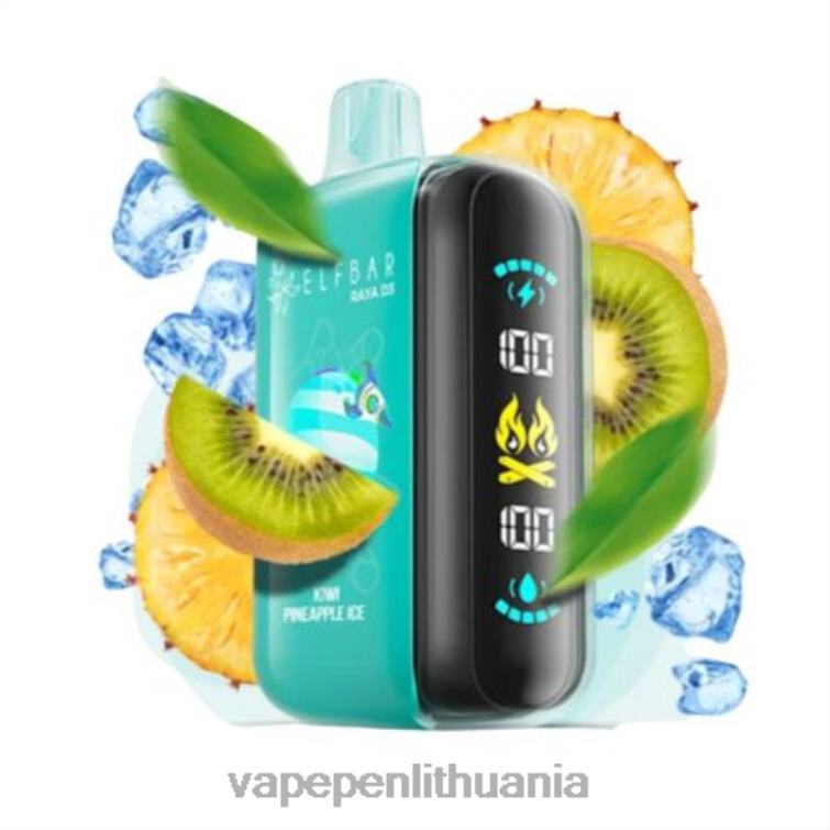 Elf Bar Raya D3 25 000 vienkartiniai 4DH041 Vape Lietuva