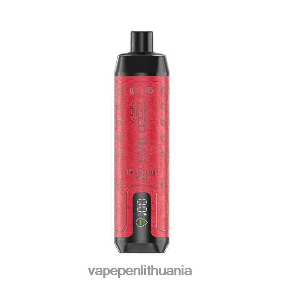 Vapsolo SHISHA vienkartiniai garai braškių kivi 8TR08Z122 - Vape Mod