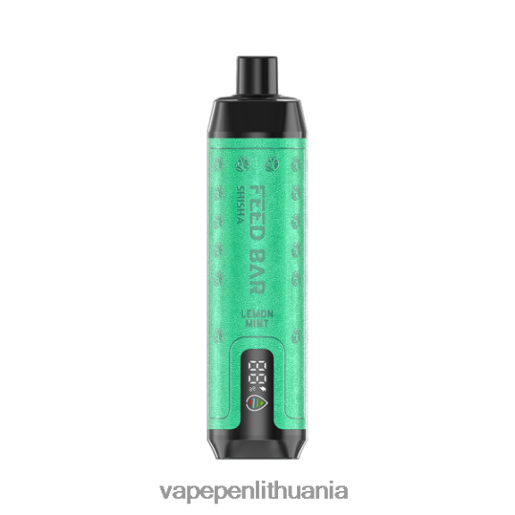 Vapsolo SHISHA vienkartiniai garai citrinų mėtų 8TR08Z119 - Vape Pen