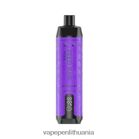 Vapsolo SHISHA vienkartiniai garai vynuogių mėtų 8TR08Z118 - Vape Liquid