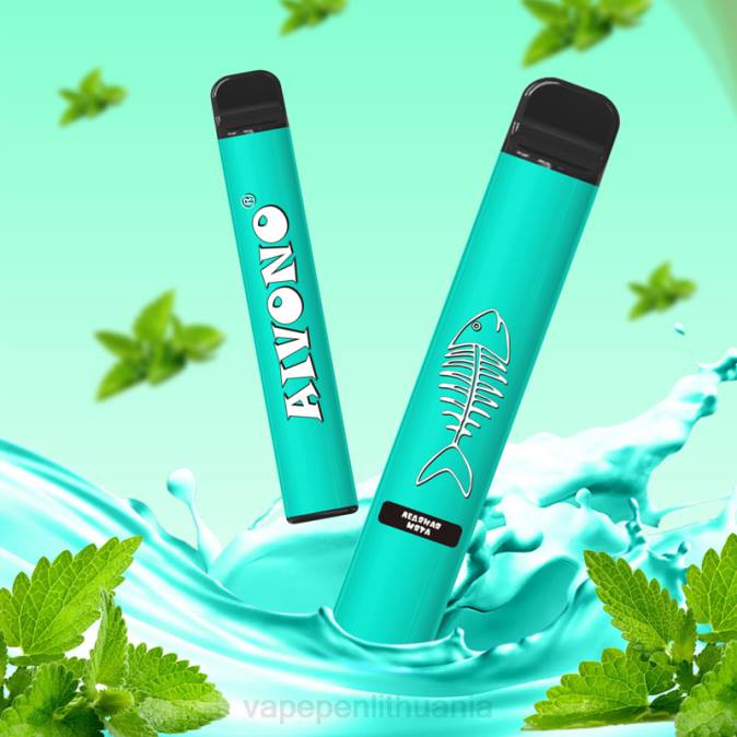 Aivono AIM FISHBONE 600 vėsios mėtos D060278 - Vape Liquid