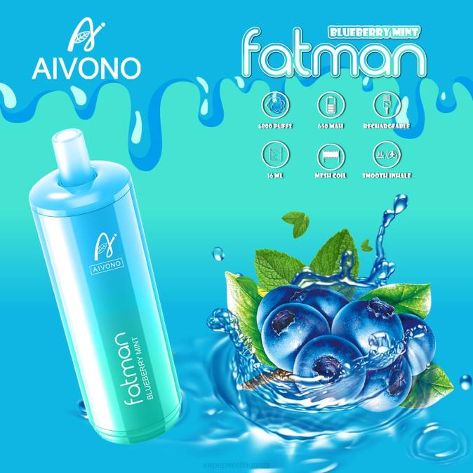 Aivono FATMAN 6800 mėlynių mėtų D06022 - Vape Mod