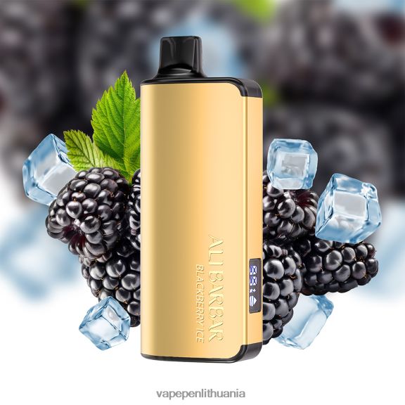 Alibarbar Ingot 9000 vienkartinių vape gervuogių ledų 8TR08Z30 - Vape Skystis