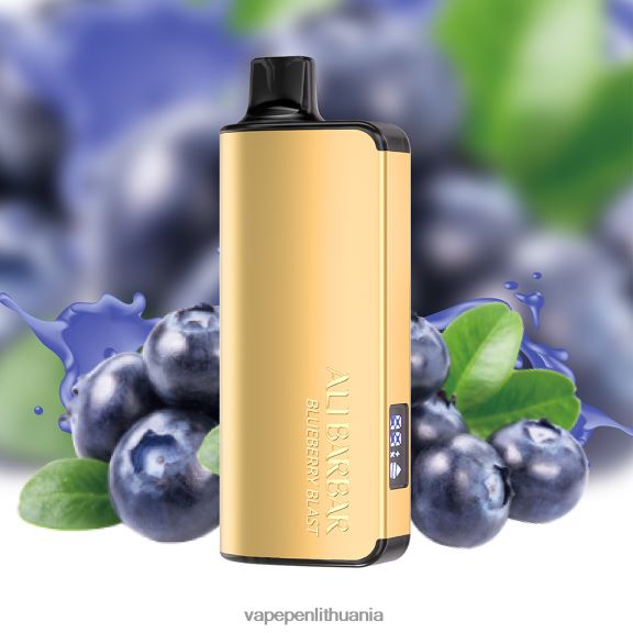Alibarbar Ingot 9000 vienkartinių vape mėlynių sprogimas 8TR08Z15 - Vape Skystis