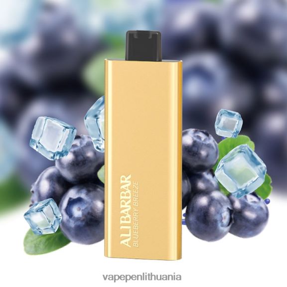 Alibarbar Pandora 7000 vienkartinių vape mėlynių vėjas 8TR08Z51 - Vape Lietuva