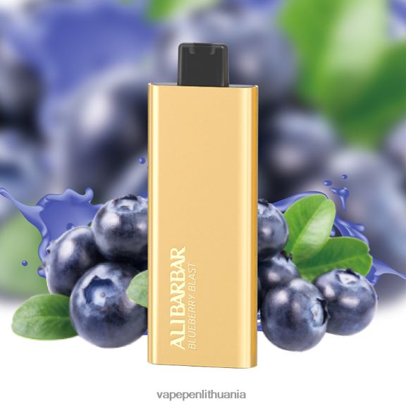 Alibarbar Pandora 7000 vienkartinių vape vėsios mėtos 8TR08Z54 - Vape Pen