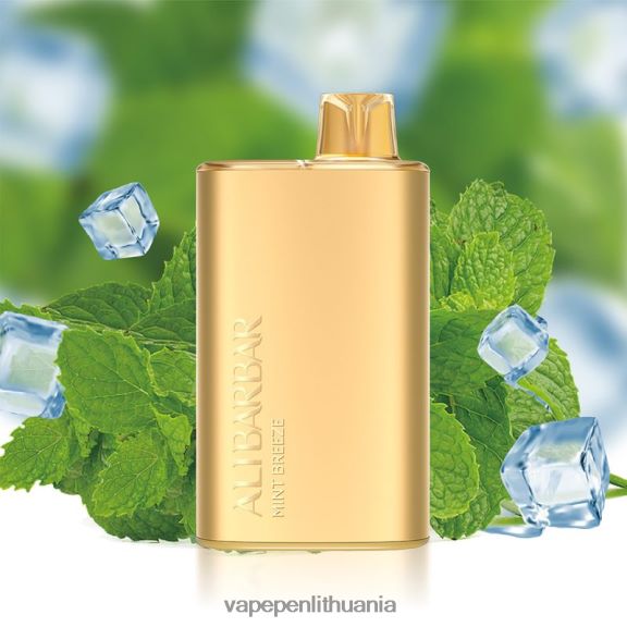 Alibarbar Rich 8000 vienkartinių vape mėtinis vėjelis 8TR08Z8 - Vape Liquid