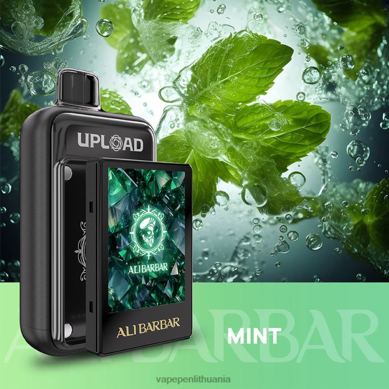 Alibarbar įkelti mėtų F4420117 - Vape Pen