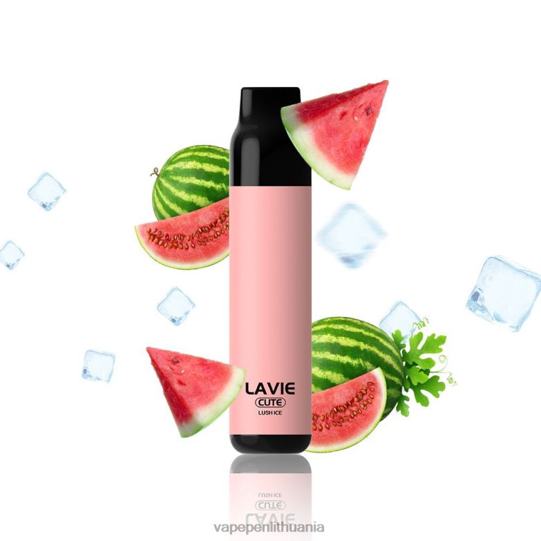 LAVIE BAR 3000 išpūtimų sodrus ledas VT88B285 - Vape Skystis
