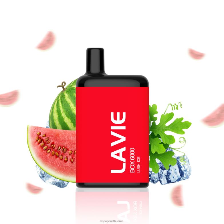 LAVIE BOX 6000 išpūtimų sodrus ledas VT88B199 - Vape Pen