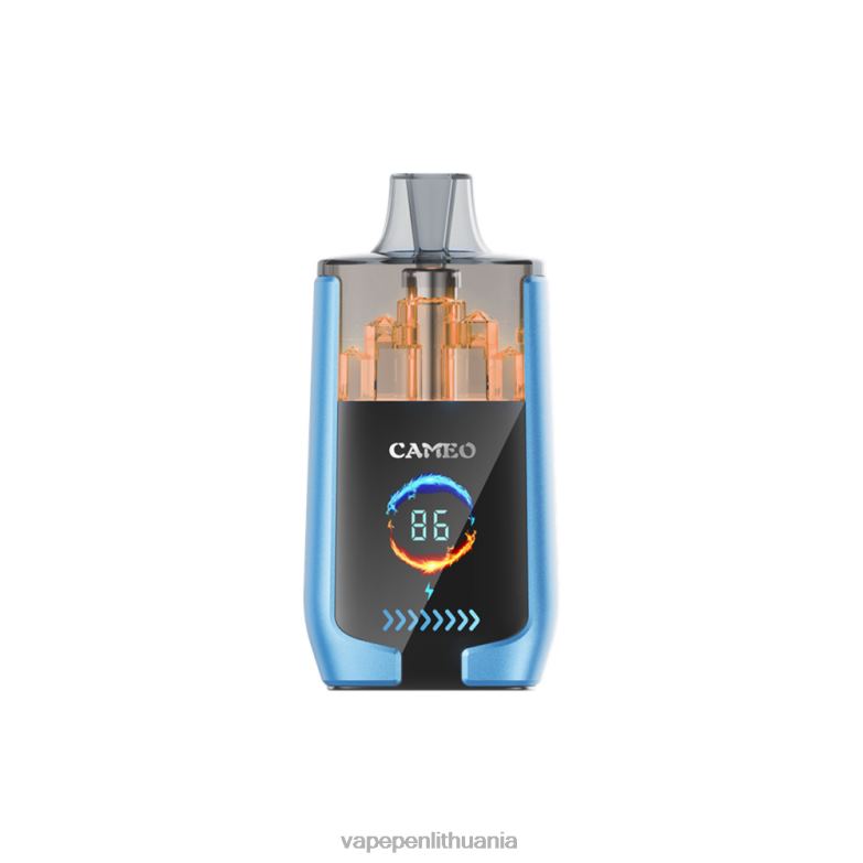 LAVIE CAMEO 30 000 įkvėpimų braškių ledų VT88B13 - Vape Liquid