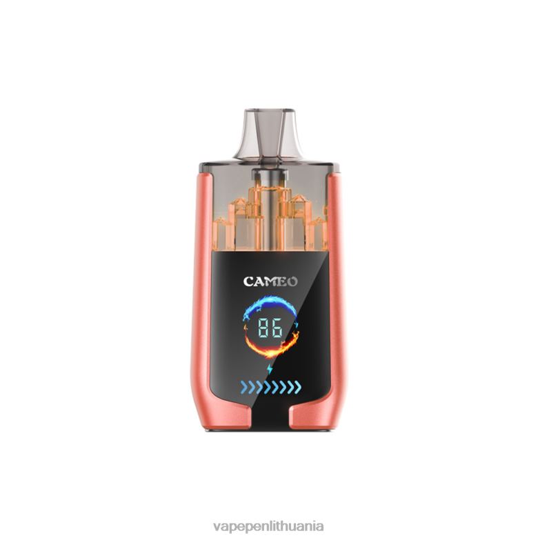 LAVIE CAMEO 30 000 įkvėpimų braškinis arbūzas VT88B24 - Vape Pen