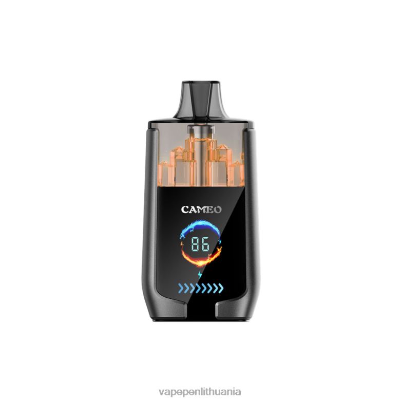 LAVIE CAMEO 30 000 įkvėpimų citrinų kola VT88B23 - Vape Liquid