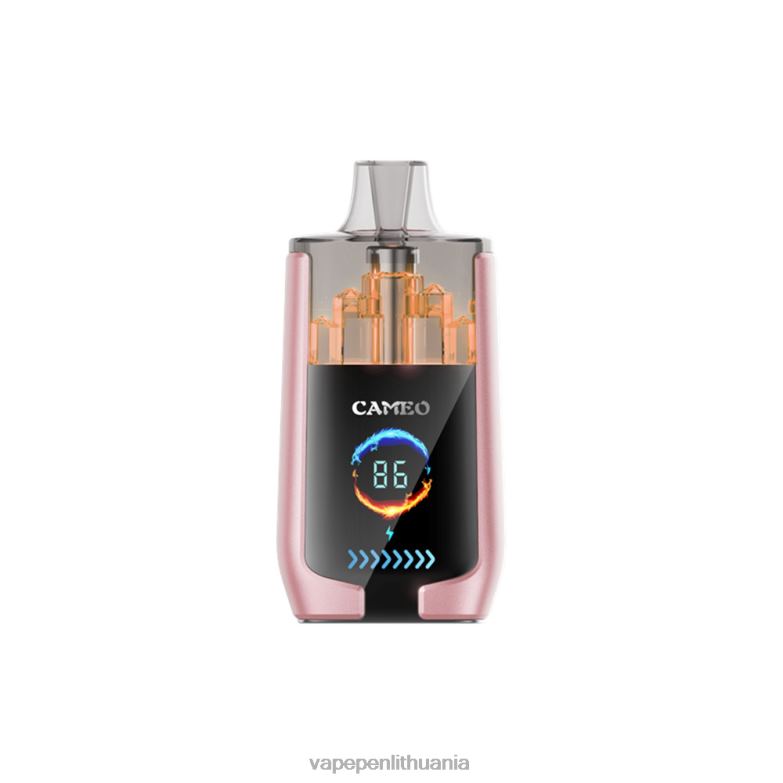 LAVIE CAMEO 30 000 įkvėpimų tropiniai vaisiai VT88B19 - Vape Pen
