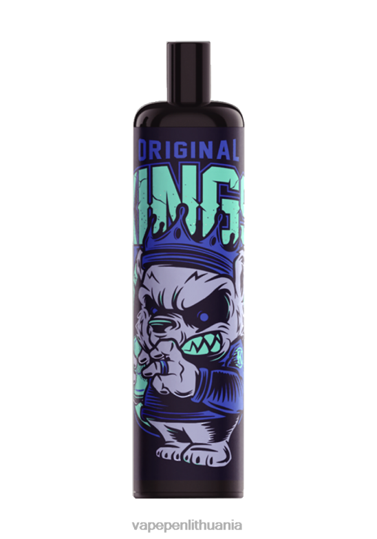 LAVIE COLOUR BAR 5000 išpūtimų – energija sodrus ledas VT88B338 - Vape Liquid