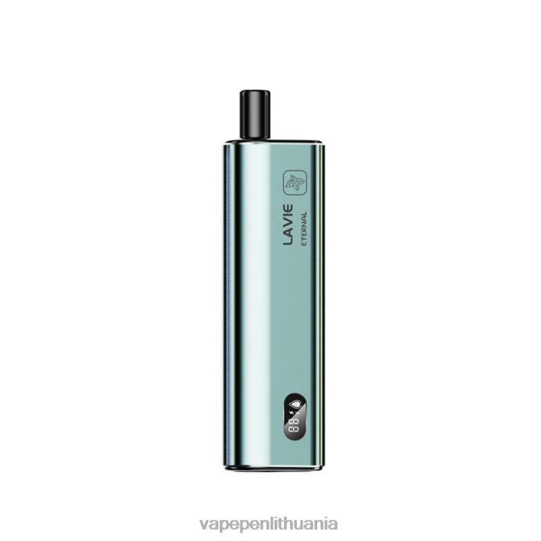 LAVIE ETERNAL 10000 išpūtimų mėtų ledų VT88B121 - Vape Lietuva