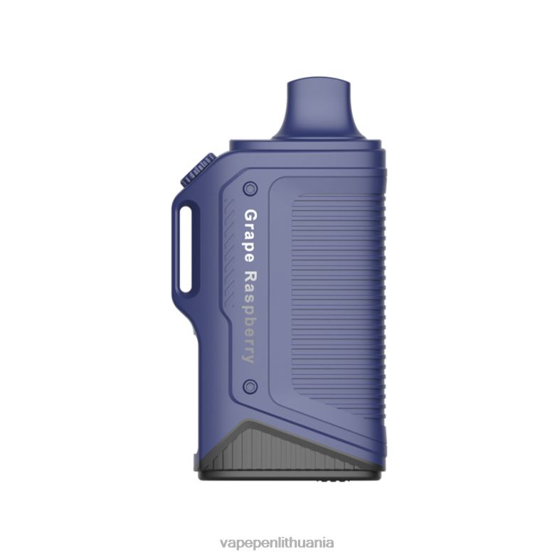LAVIE Energy Box 15 000 įkvėpimų vynuogių aviečių VT88B77 - Vape Mod