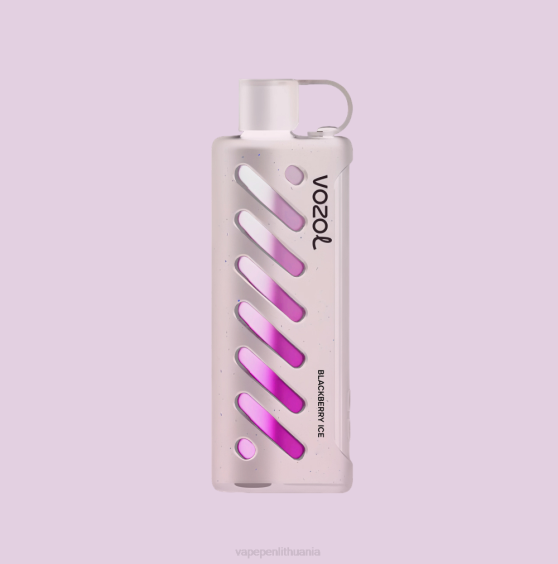 VOZOL pavara Shisha 25000 X4XD1 - Vape Lietuva