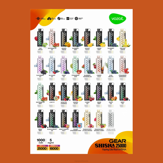 VOZOL pavara Shisha 25000 X4XD1 - Vape Lietuva
