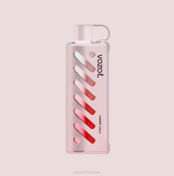 VOZOL pavara Shisha 25000 X4XD1 - Vape Lietuva
