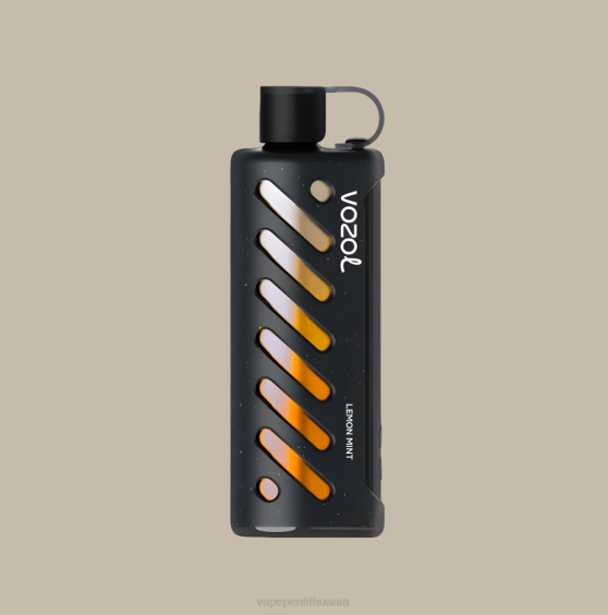 VOZOL pavara Shisha 25000 X4XD1 - Vape Lietuva
